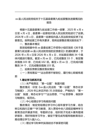 县人民法院党组关于十五届县委第九轮巡察整改进展情况的报告