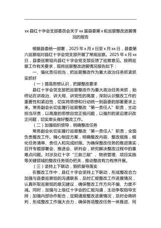 县红十字会支部委员会关于届县委第X轮巡察整改进展情况的报告