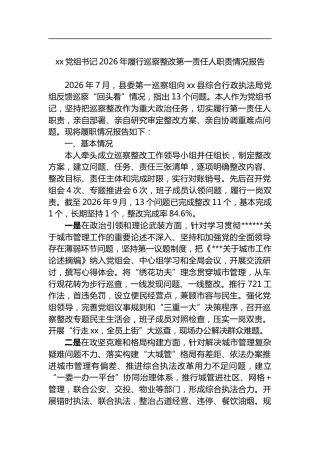 党组书记2026年履行巡察整改第一责任人职责情况报告