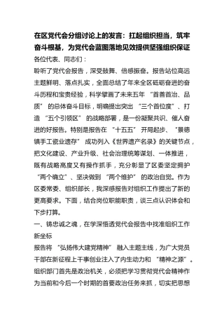 在区党代会分组讨论上的发言：扛起组织担当，筑牢奋斗根基，为党代会蓝图落地见效提供坚强组织保证