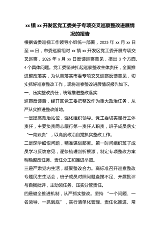 镇XX开发区X工委关于专项交叉巡察整改进展情况的报告