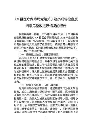 XX县医疗保障局党组关于巡察现场检查反馈意见整改进展情况的报告
