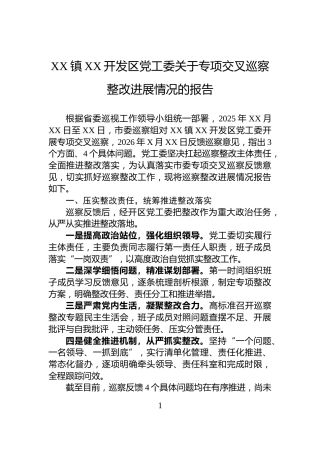 XX镇XX开发区党工委关于专项交叉巡察整改进展情况的报告