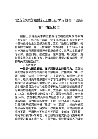 党支部树立和践行正确zjg学习教育“回头看”情况报告