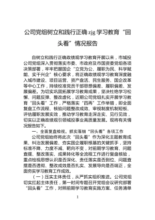 公司党组树立和践行正确zjg学习教育“回头看”情况报告