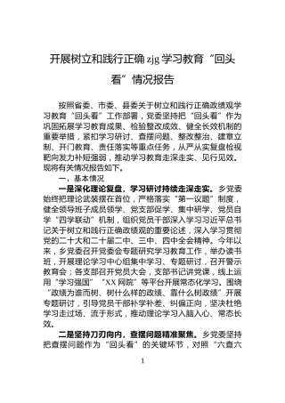 开展树立和践行正确zjg学习教育“回头看”情况报告