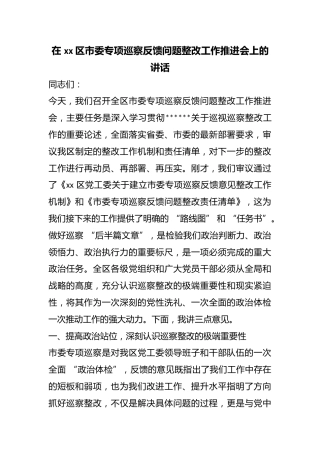 在区市委专项巡察反馈问题整改工作推进会上的讲话