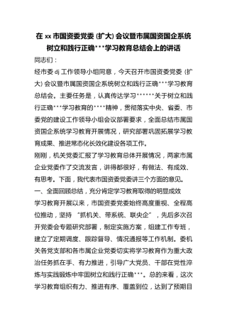 在市国资委党委(扩大)会议暨市属国资国企系统树立和践行正确政绩观学习教育总结会上的讲话