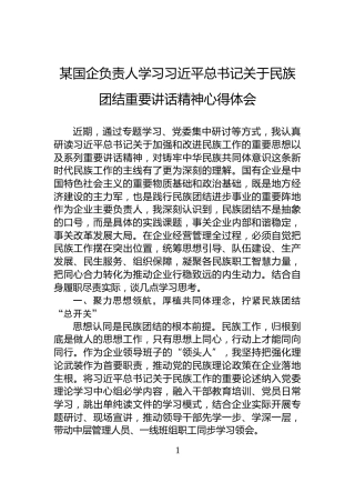 某国企负责人学习习近平总书记关于民族团结重要讲话精神心得体会
