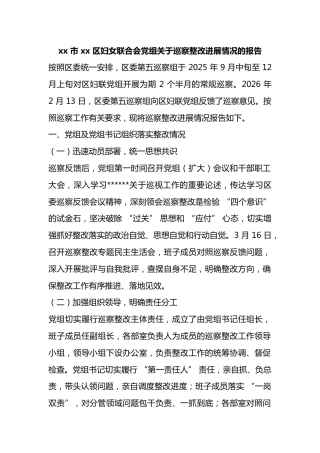 市区妇女联合会党组关于巡察整改进展情况的报告