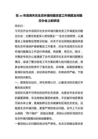 在市溶洞天坑生态环境问题攻坚工作调度及问题交办会上的讲话