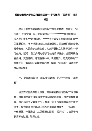 某县公安局关于树立和践行正确政绩观学习教育“回头看”情况报告