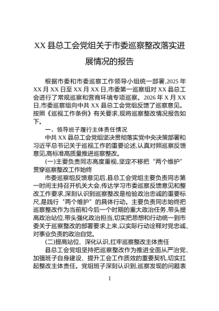 XX县总工会党组关于市委巡察整改落实进展情况的报告