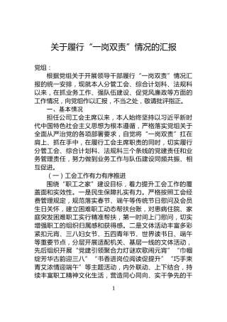 关于履行“一岗双责”情况的汇报