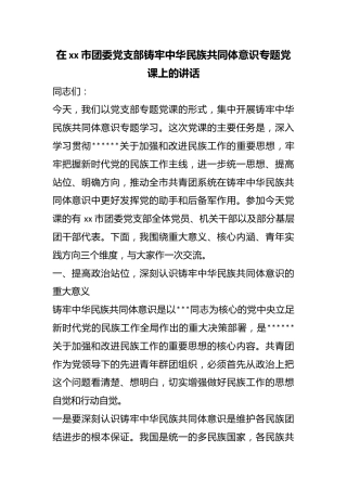 在市团委党支部铸牢中华民族共同体意识专题党课上的讲话