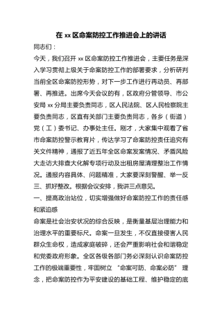 在区命案防控工作推进会上的讲话