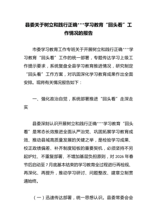 县委关于树立和践行正确政绩观学习教育“回头看”工作情况的报告