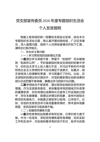 党支部宣传委员2026年度专题组织生活会个人发言提纲