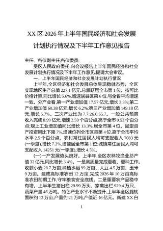 XX区2026年上半年国民经济和社会发展计划执行情况及下半年工作意见报告