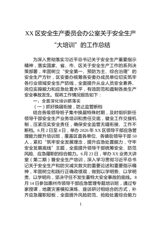 XX区安全生产委员会办公室关于安全生产“大培训”的工作总结