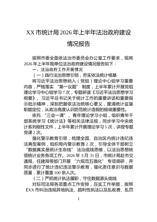 XX市统计局2026年上半年法治政府建设情况报告