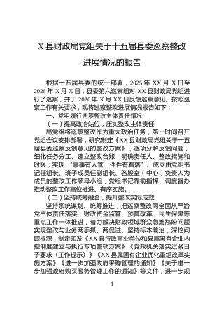 X县财政局党组关于十五届县委巡察整改进展情况的报告
