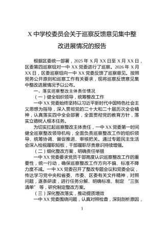 X中学校委员会关于巡察反馈意见集中整改进展情况的报告