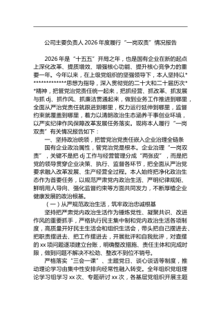 公司主要负责人2026年度履行“一岗双责”情况报告