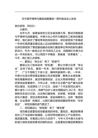 在中国平煤神马集团战略重组一周年座谈会上发言