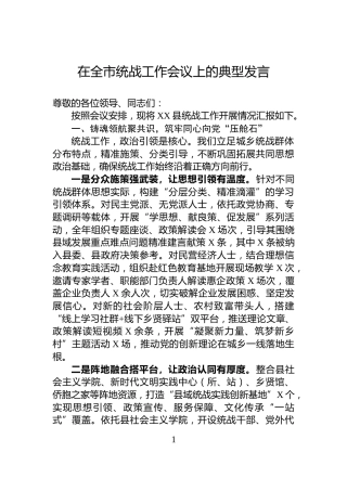 在全市统战工作会议上的典型发言