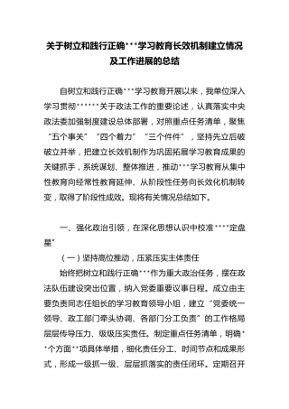 关于树立和践行正确政绩观学习教育长效机制建立情况及工作进展的总结