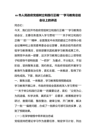 市人民政府党组树立和践行正确政绩观学习教育总结会议上的讲话