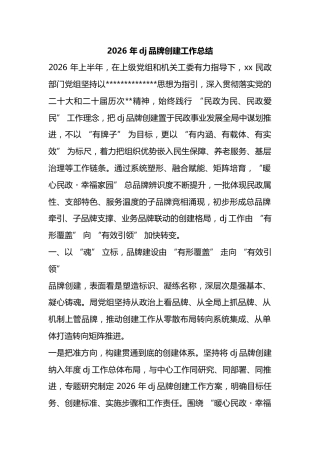 2026年党建品牌创建工作总结