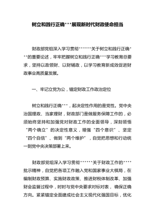 树立和践行正确政绩观展现新时代财政使命担当