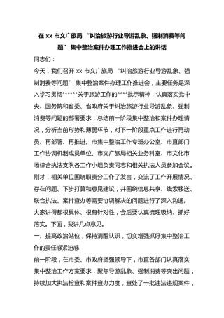 在市文广旅局“纠治旅游行业导游乱象、强制消费等问题”集中整治案件办理工作推进会上的讲话