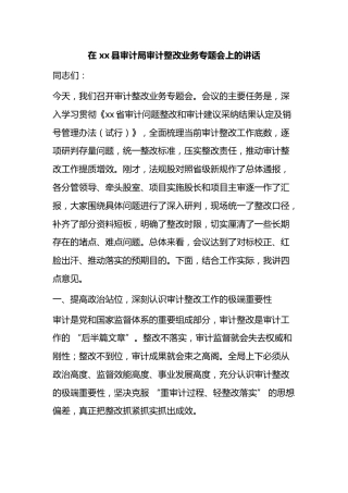 在X县审计局审计整改业务专题会上的讲话