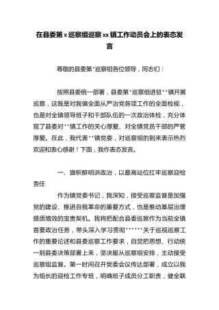 在县委第x巡察组巡察镇工作动员会上的表态发言