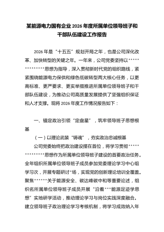 某能源电力国有企业2026年度所属单位领导班子和干部队伍建设工作报告