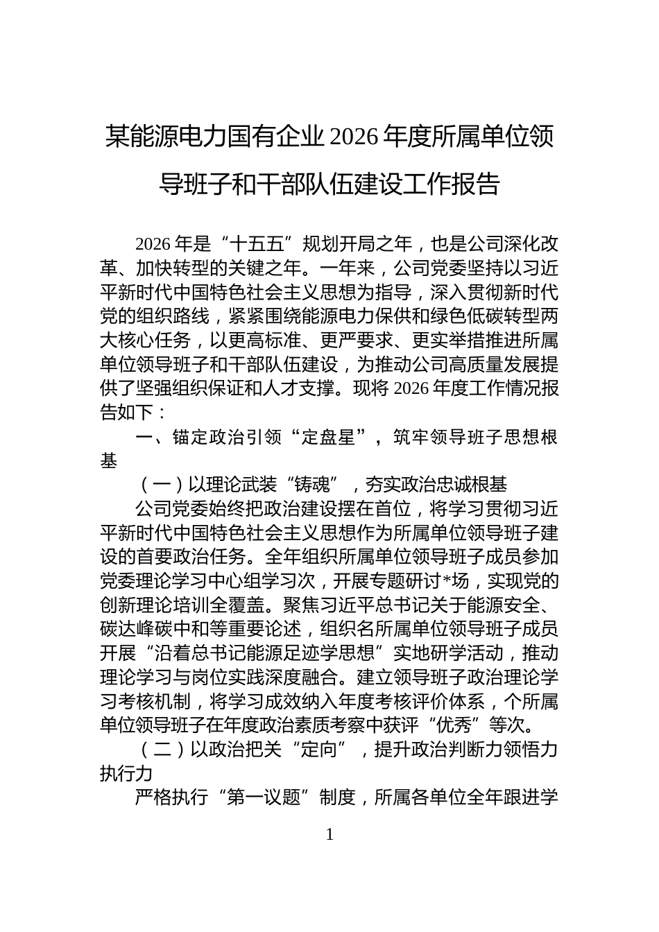 某能源电力国有企业2026年度所属单位领导班子和干部队伍建设工作报告_第1页