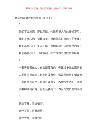 精彩领导讲话写作提纲30例（五）.docx