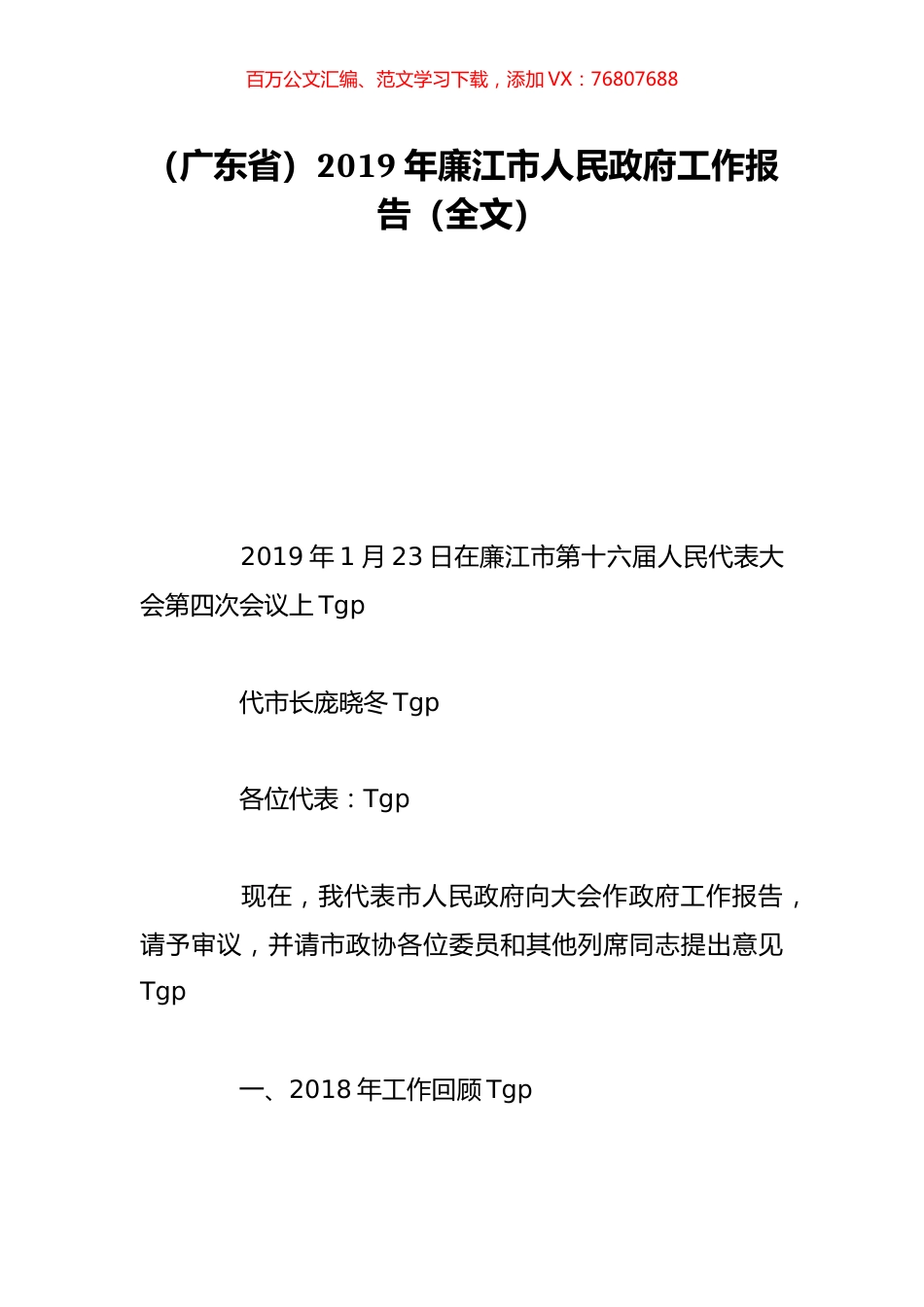 （广东省）2019年廉江市人民政府工作报告（全文）.doc_第1页
