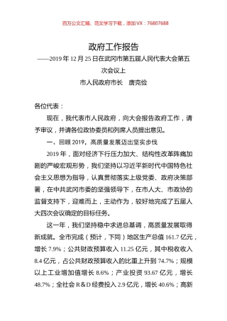 2020年邵阳市武冈市政府工作报告.docx