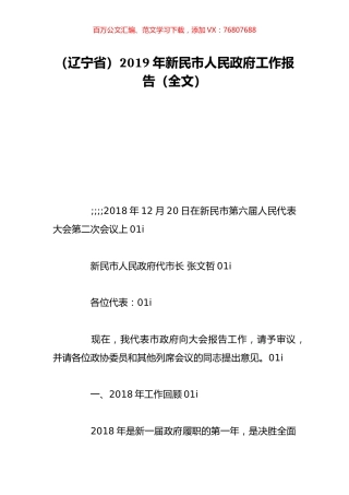 （辽宁省）2019年新民市人民政府工作报告（全文）.doc