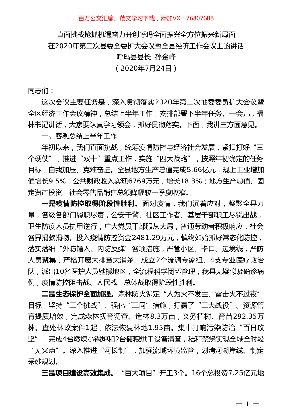 呼玛县县长孙金峰：在2020年第二次县委全委扩大会议暨全县经济工作会议上的讲话.doc_第1页