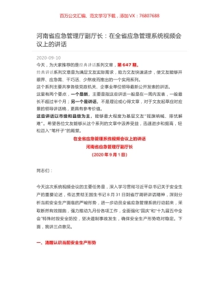 河南省应急管理厅副厅长：在全省应急管理系统视频会议上的讲话.docx