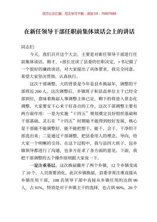 在新任领导干部任职前集体谈话会上的讲话.docx