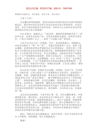 在发展论坛开幕式上的致辞.docx