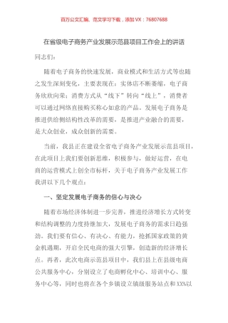 在省级电子商务产业发展示范县项目工作会上的讲话.docx