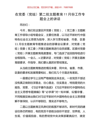 在党委（党组）第二批主题教育11月份工作专题会上的讲话.docx
