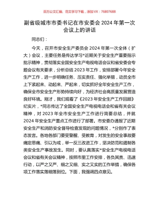 副省级城市市委书记在市安委会2024年第一次会议上的讲话.docx